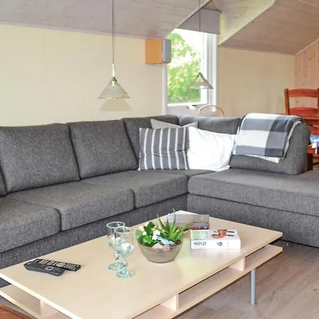 Ferienhaus Laerkevaenget Xii Hemmet